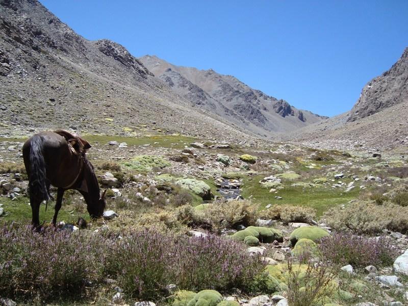 הוילה Hurtado Hacienda Los Andes מראה חיצוני תמונה