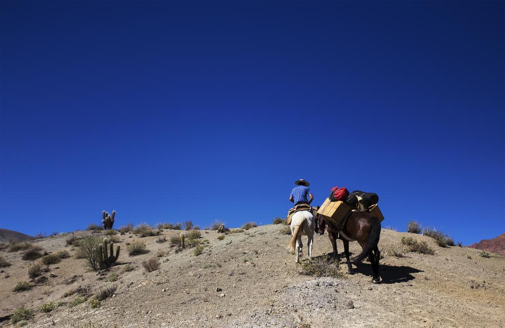 הוילה Hurtado Hacienda Los Andes מראה חיצוני תמונה