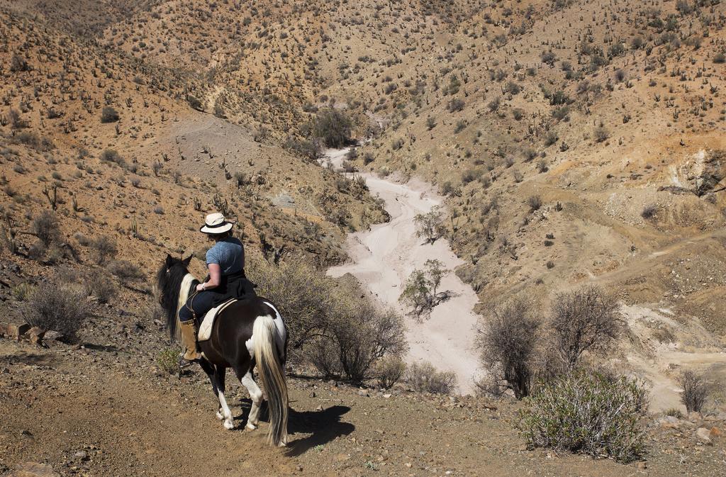 הוילה Hurtado Hacienda Los Andes מראה חיצוני תמונה
